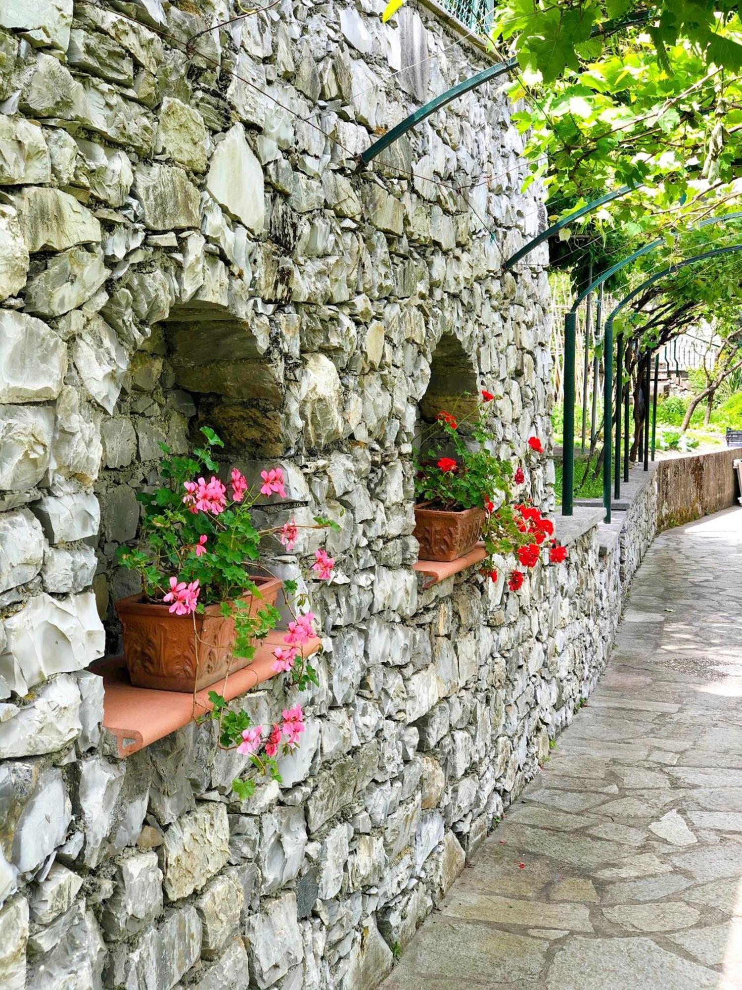 Hotel Villa Edera & La Torretta Moneglia Exterior foto